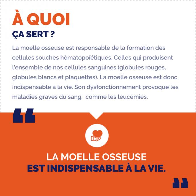 A quoi ca sert ?
