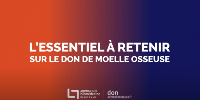 L'essentiel à retenir sur le don de moelle osseuse