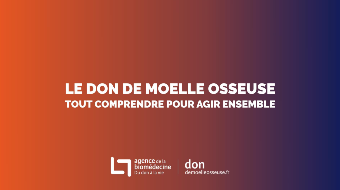 Tout comprendre pour agir ensemble